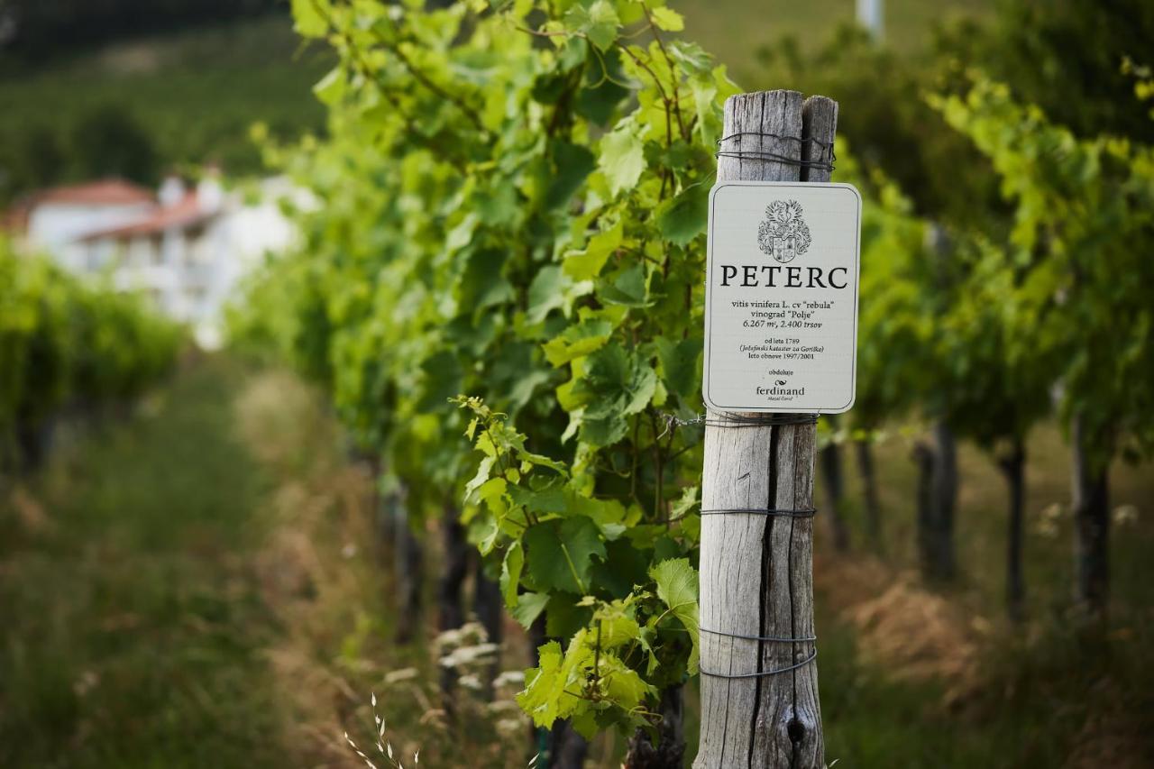 Peterc Vineyard Estate Bed & Breakfast Kojsko Exterior photo