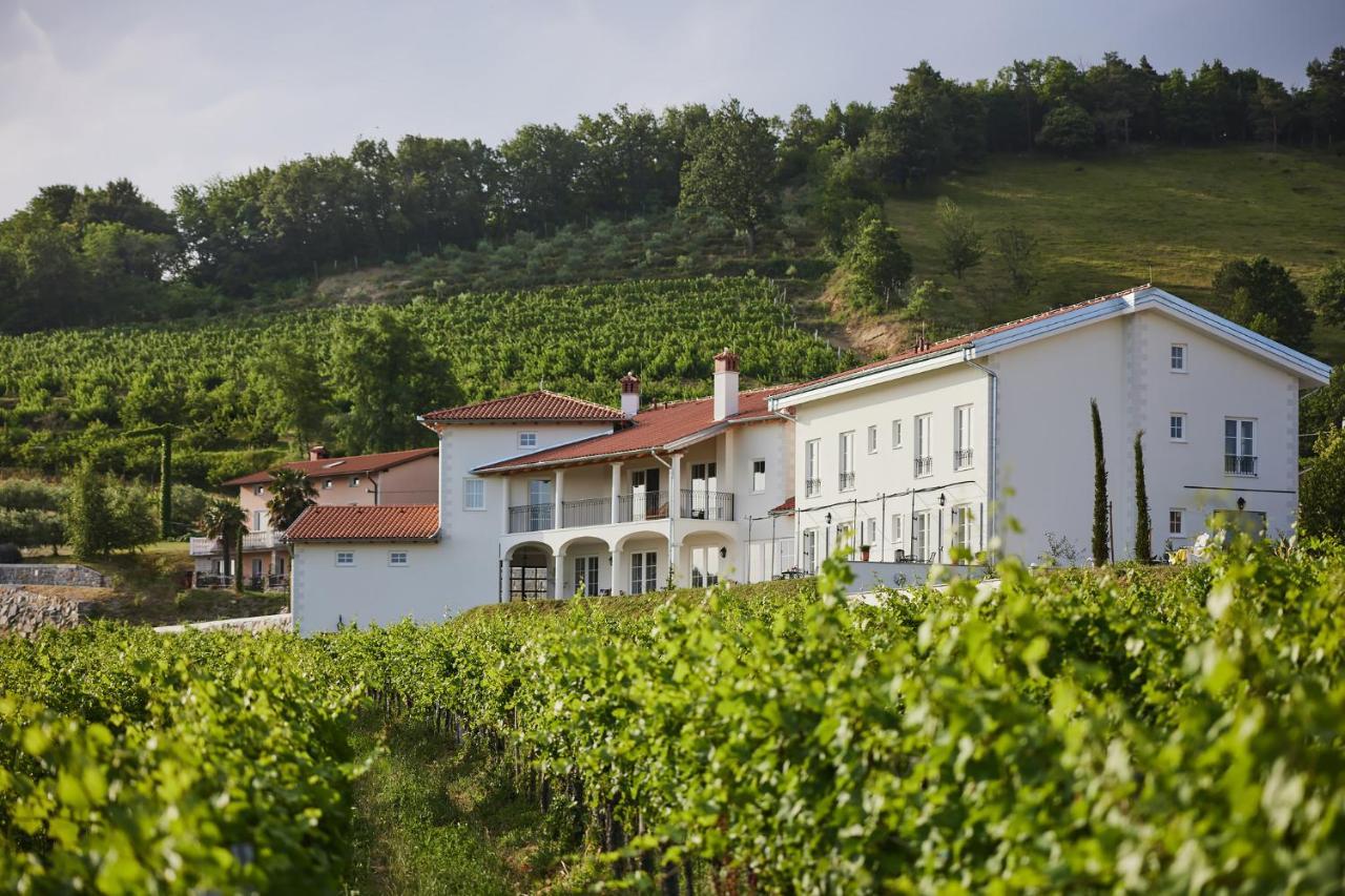 Peterc Vineyard Estate Bed & Breakfast Kojsko Exterior photo